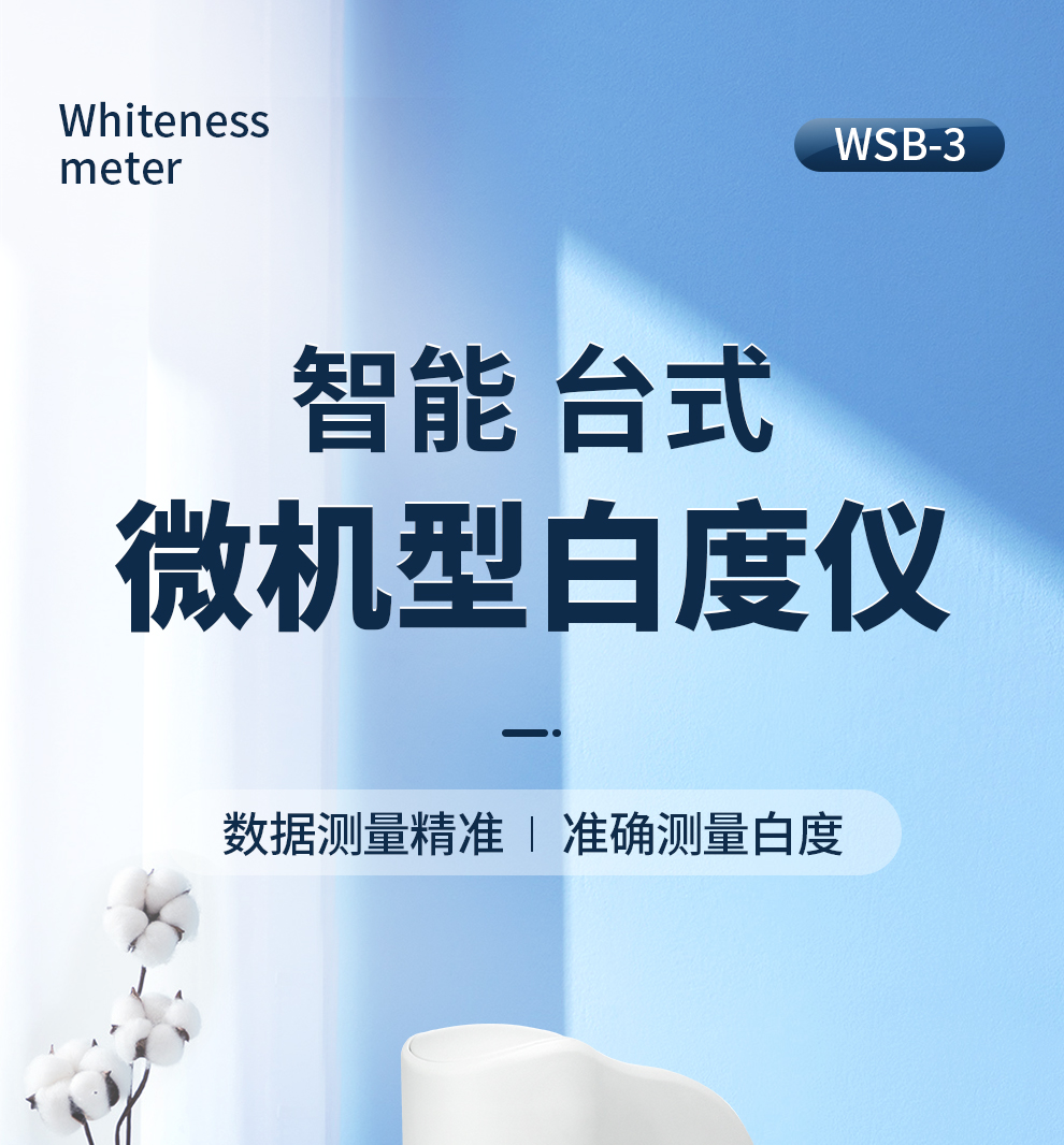 WSB-3_01.jpg
